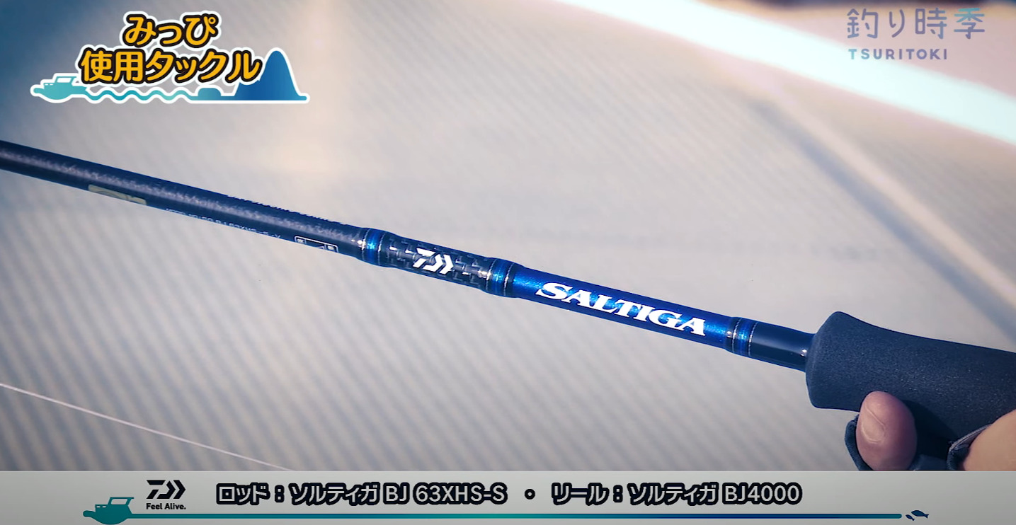 ダイワ(DAIWA) ソルティガ R J60S-2 HI ロッド、釣り竿 | www.vinoflix.com